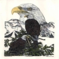 eagle1's Avatar